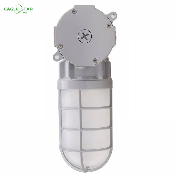 21W LED Jelly Jar Light Fixture - 2,520 Lumens - Caged Wall Light - 5000K Natural White - 120-277V