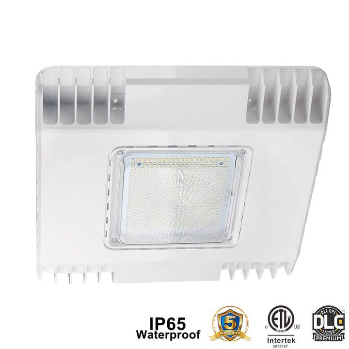 Eagle Star LED USA Stock Free Shipping Waterproof 150W LED Canopy Ceiling Light
