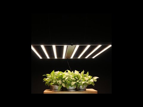 Eagle Star LED ESF7200 720W Full Spectrum Foldable Best Grow Lights for Indoor Plants